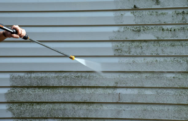 Best DIY Mold Remediation Support Services in Larch Y, WA